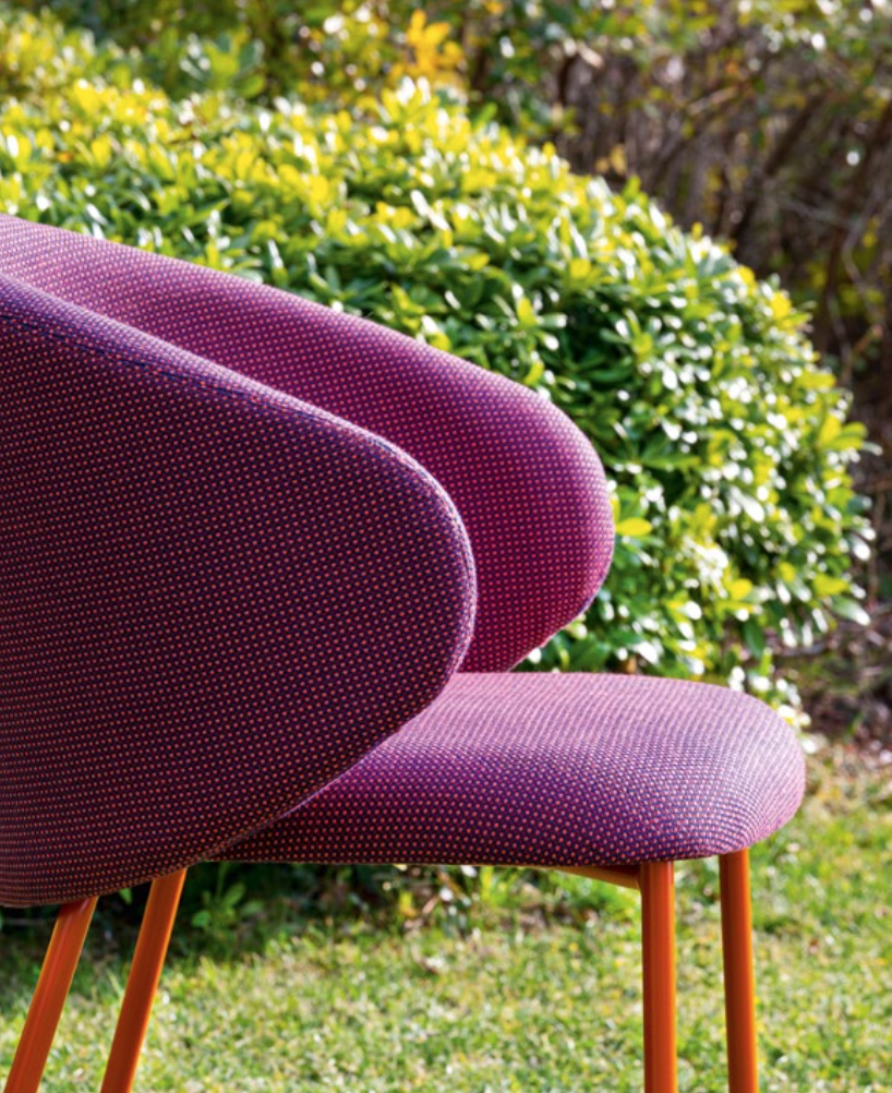 poltroncina imbottite esterno cactus
