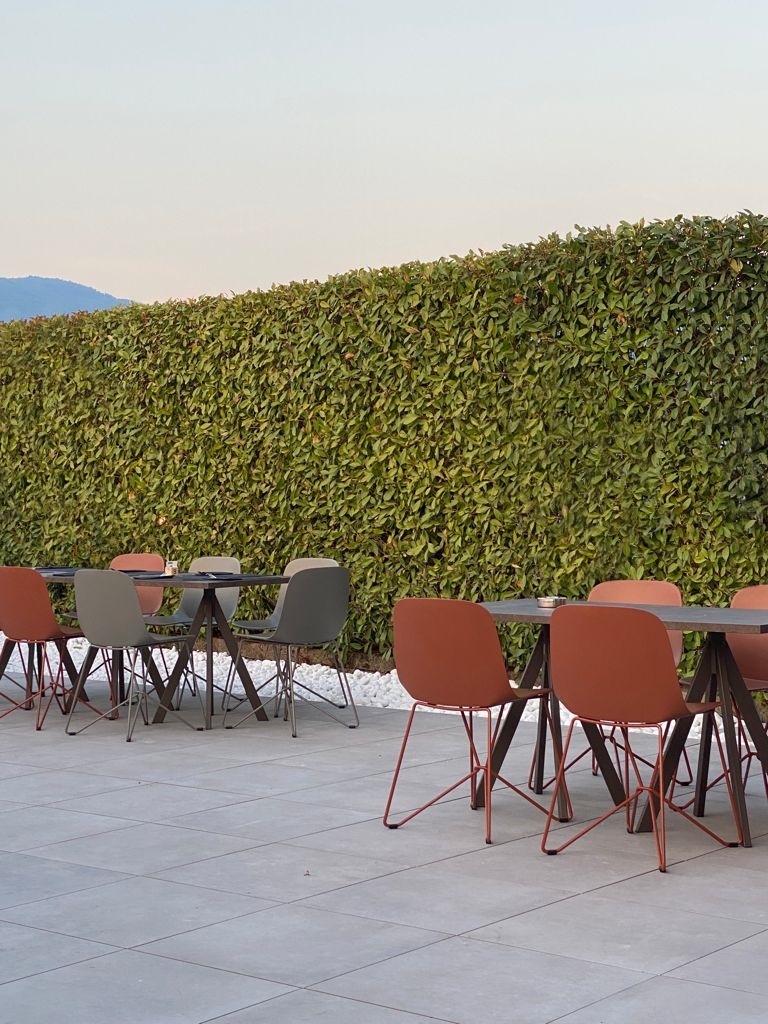 arredamento Cactus
