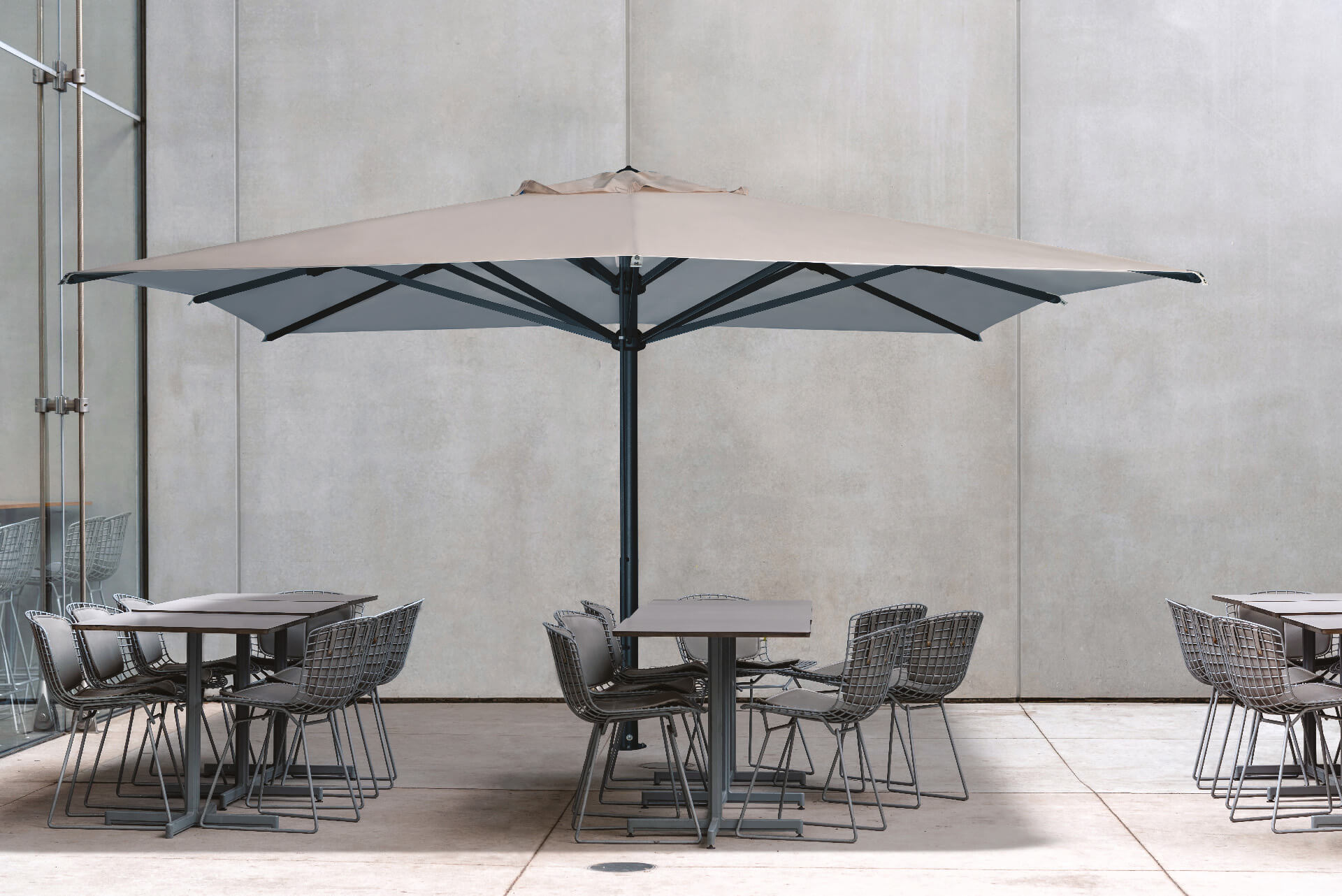 Verona Dark_2025_02_web